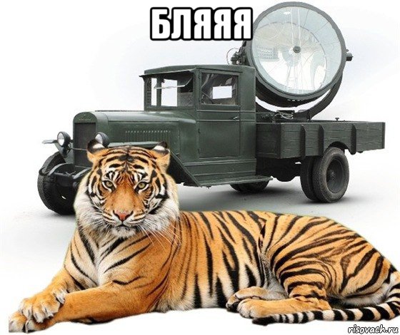 бляяя , Мем Кот и Лампа