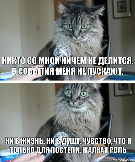 никто со мной ничем не делится. в события меня не пускают. ни в жизнь. ни в душу. чувство, что я только для постели. жалкая роль, Комикс  кот с микрофоном