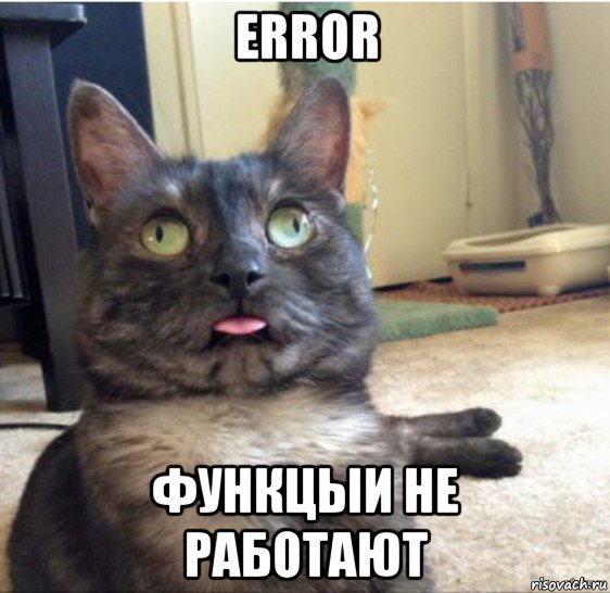 error функцыи не работают, Мем   Кот завис