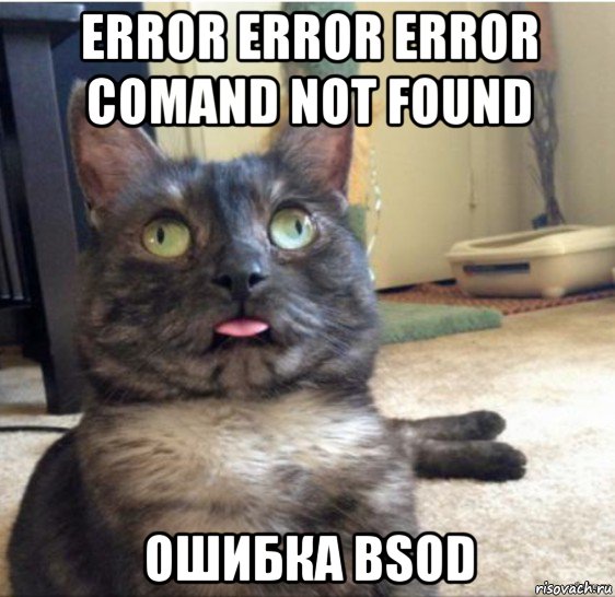 error error error comand not found ошибка bsod, Мем   Кот завис