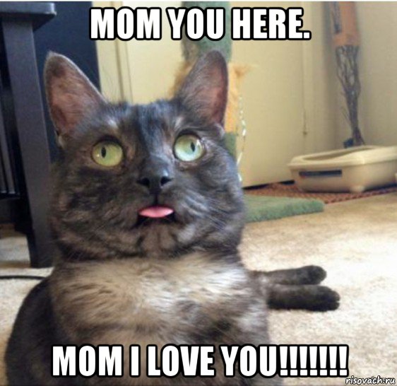 mom you here. mom i love you!!!!!!!, Мем   Кот завис