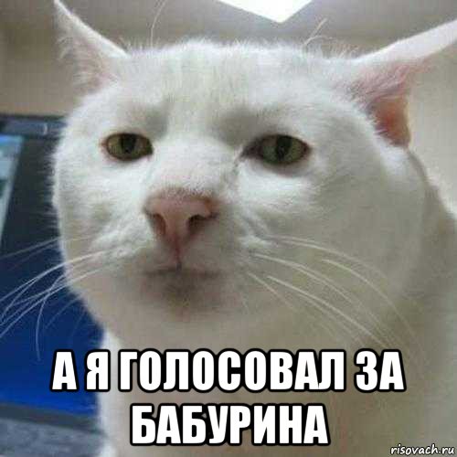  а я голосовал за бабурина