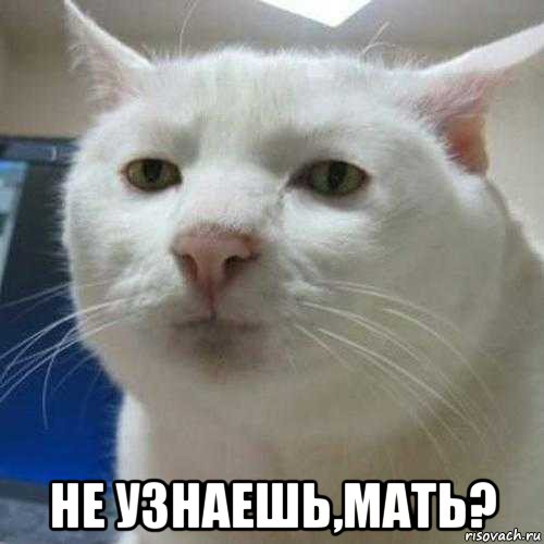  не узнаешь,мать?