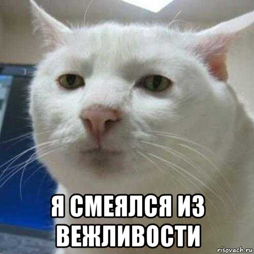  я смеялся из вежливости