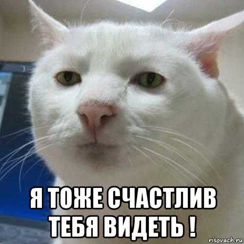 я тоже счастлив тебя видеть !