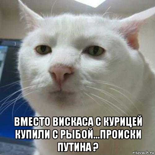  вместо вискаса с курицей купили с рыбой...происки путина ?