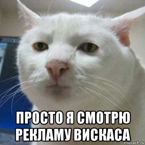  просто я смотрю рекламу вискаса