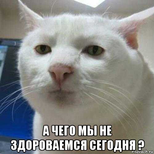  а чего мы не здороваемся сегодня ?