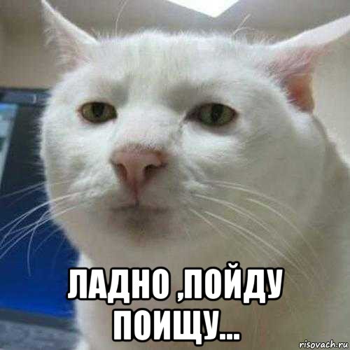  ладно ,пойду поищу...