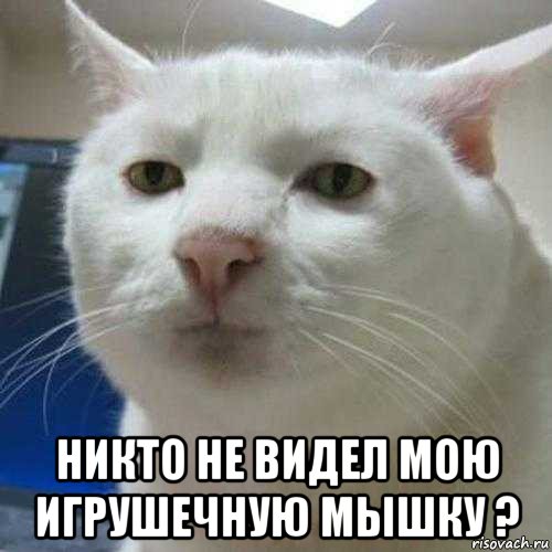  никто не видел мою игрушечную мышку ?
