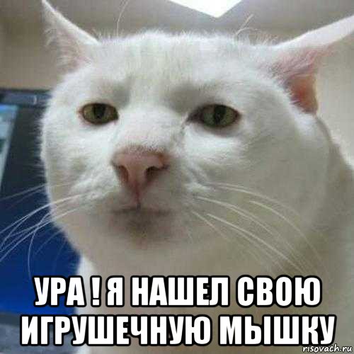  ура ! я нашел свою игрушечную мышку