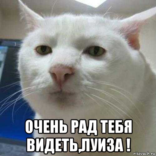  очень рад тебя видеть,луиза !