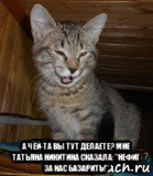  а чëй-та вы тут делаете? мне татьяна никитина сказала:"нефиг за нас базарить!", Мем Kotik