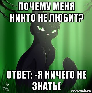 почему меня никто не любит? ответ: -я ничего не знать(