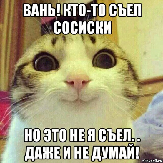 вань! кто-то съел сосиски но это не я съел. . даже и не думай!, Мем       Котяка-улыбака