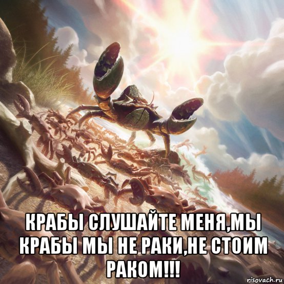  крабы слушайте меня,мы крабы мы не раки,не стоим раком!!!, Мем Крабы