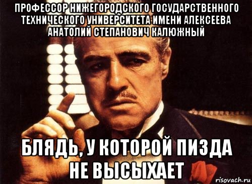 профессор нижегородского государственного технического университета имени алексеева анатолий степанович калюжный блядь, у которой пизда не высыхает, Мем крестный отец