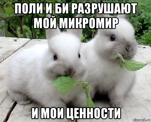 поли и би разрушают мой микромир и мои ценности