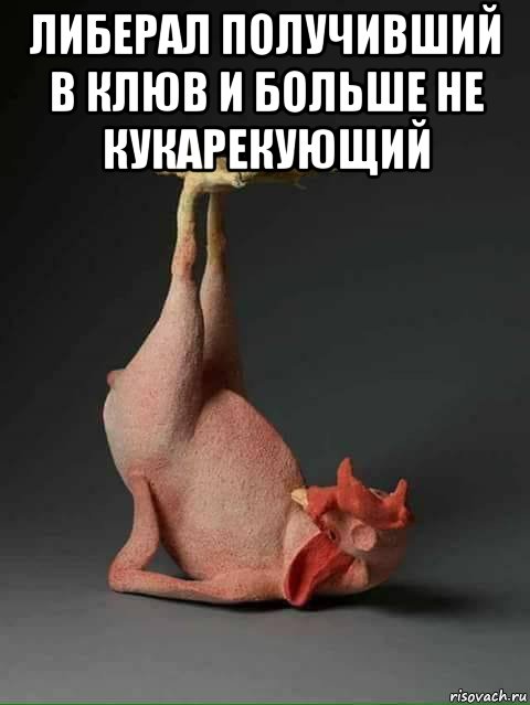 либерал получивший в клюв и больше не кукарекующий , Мем Куроёб