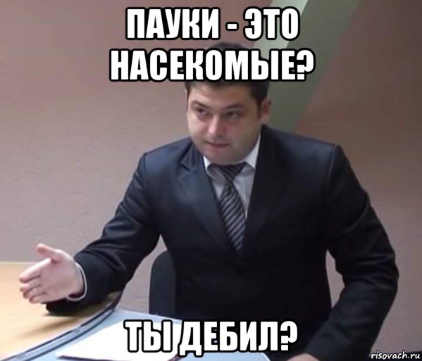 пауки - это насекомые? ты дебил?