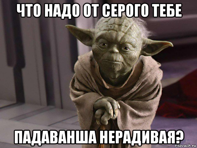 что надо от серого тебе падаванша нерадивая?