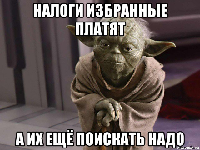 налоги избранные платят а их ещё поискать надо