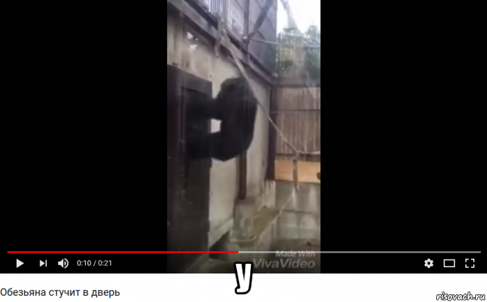  у