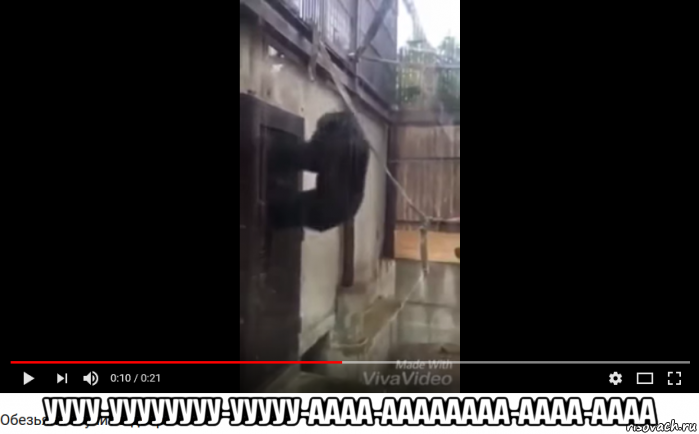  уууу-уууууууу-ууууу-аааа-аааааааа-аааа-аааа