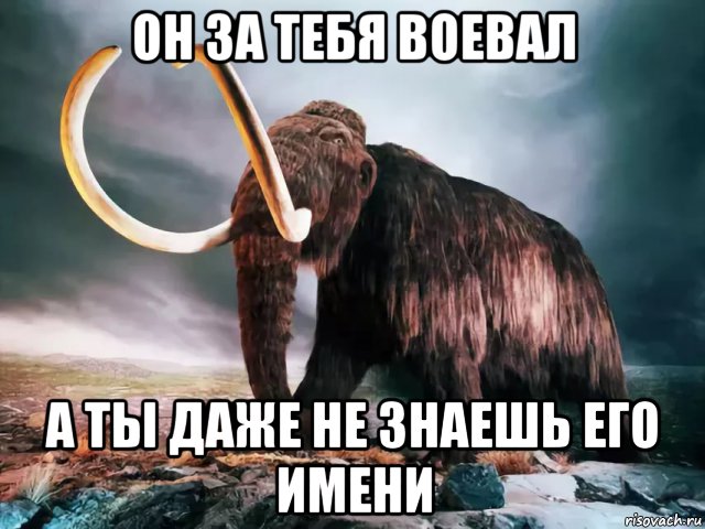 он за тебя воевал а ты даже не знаешь его имени, Мем Мамонт