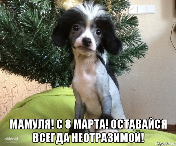  мамуля! с 8 марта! оставайся всегда неотразимой!, Мем Мамуля