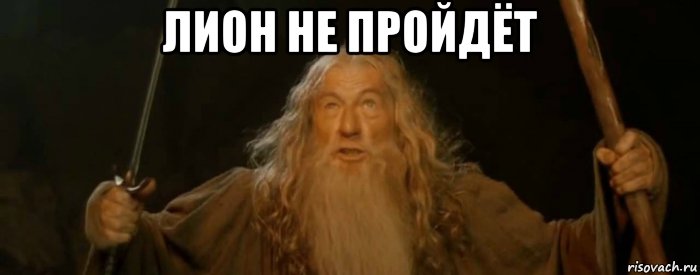 лион не пройдёт , Мем Мем
