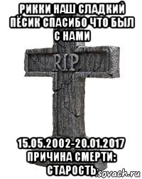 рикки наш сладкий пёсик спасибо что был с нами 15.05.2002-20.01.2017 причина смерти: старость
