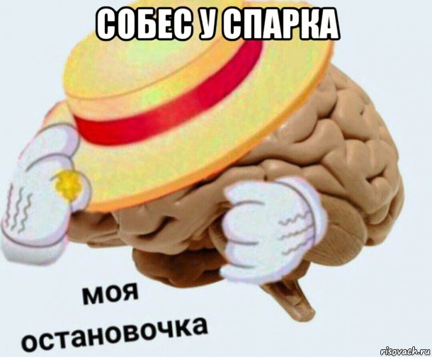 собес у спарка , Мем   Моя остановочка мозг