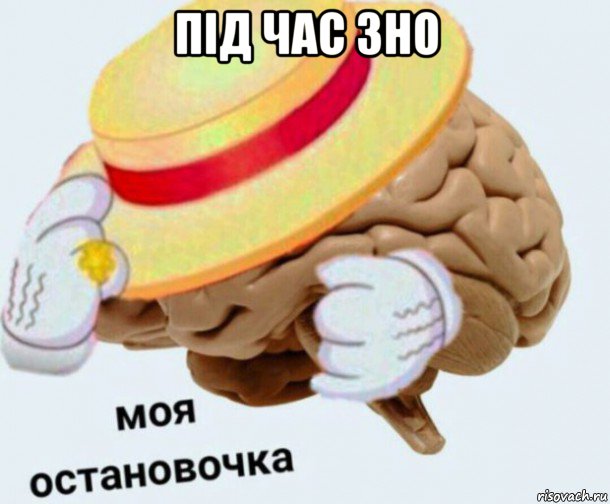 під час зно , Мем   Моя остановочка мозг