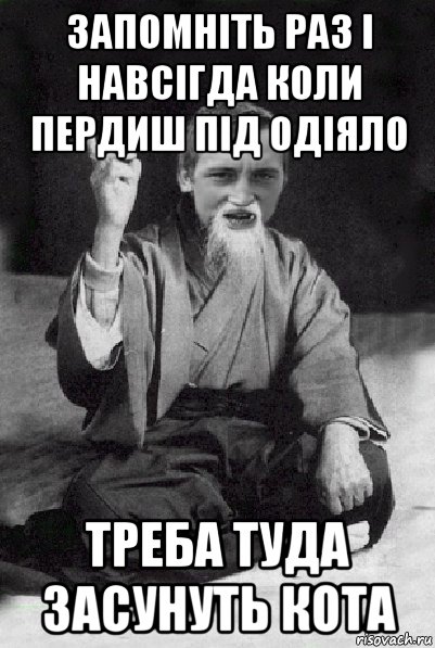 запомніть раз і навсігда коли пердиш під одіяло треба туда засунуть кота, Мем Мудрий паца