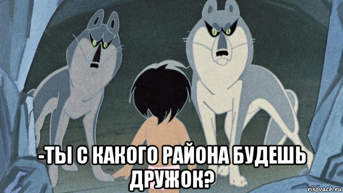 -ты с какого района будешь дружок?, Мем Мультик маугли-районы кварталы