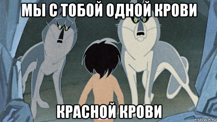 мы с тобой одной крови красной крови, Мем Мультик маугли-районы кварталы