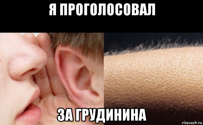 я проголосовал за грудинина