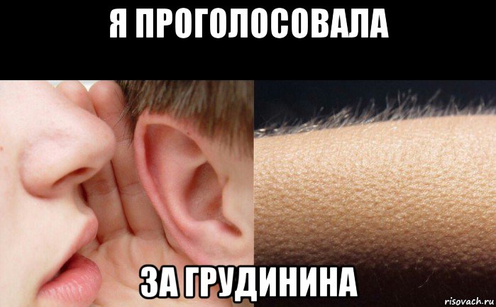 я проголосовала за грудинина