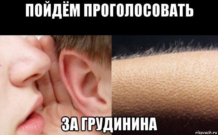 пойдём проголосовать за грудинина