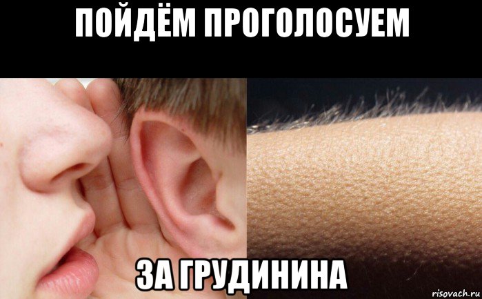 пойдём проголосуем за грудинина