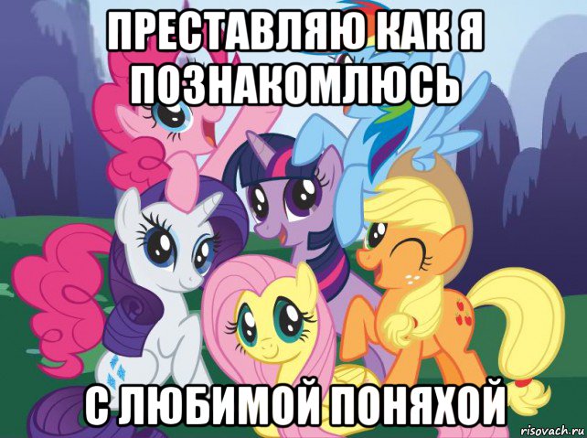 преставляю как я познакомлюсь с любимой поняхой, Мем My little pony