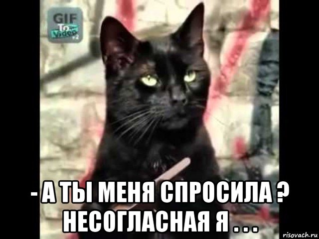  - а ты меня спросила ? несогласная я . . .
