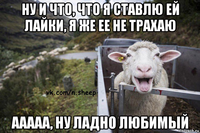 ну и что, что я ставлю ей лайки, я же ее не трахаю ааааа, ну ладно любимый
