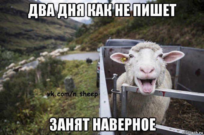 два дня как не пишет занят наверное