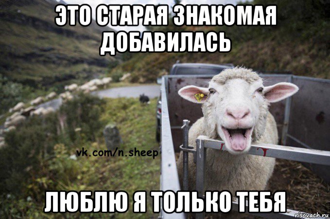 это старая знакомая добавилась люблю я только тебя