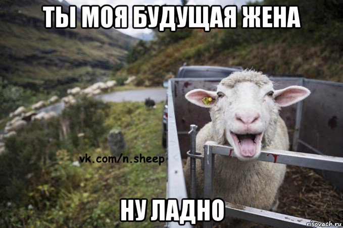 ты моя будущая жена ну ладно
