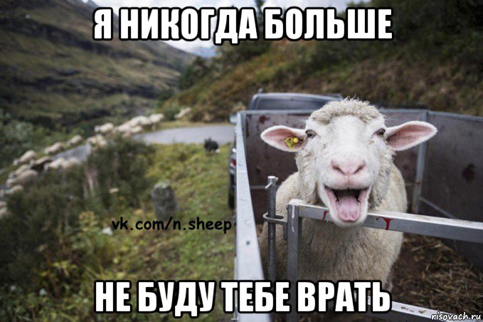 я никогда больше не буду тебе врать