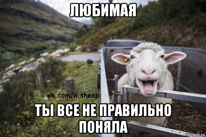 любимая ты все не правильно поняла