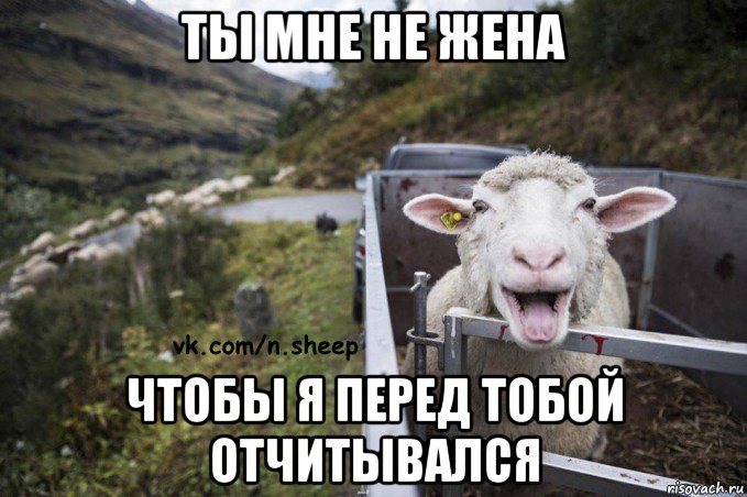 ты мне не жена чтобы я перед тобой отчитывался